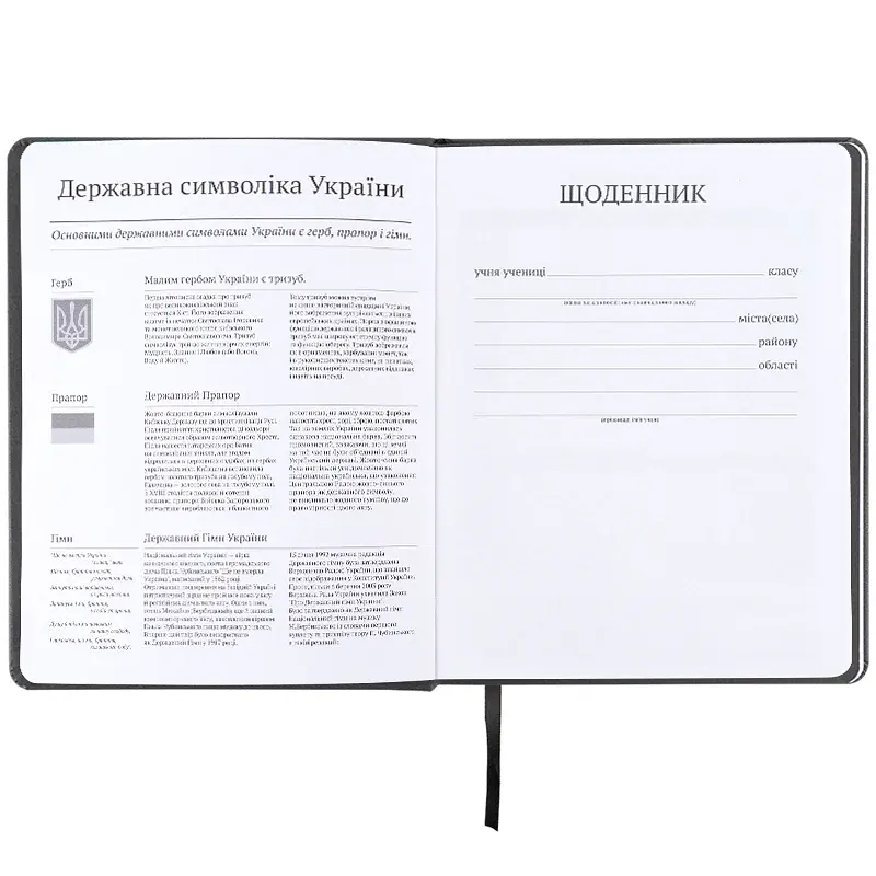 Щоденник шкільний Kite Gamer 170х210 мм сірий (K25-264-1) - фото 7