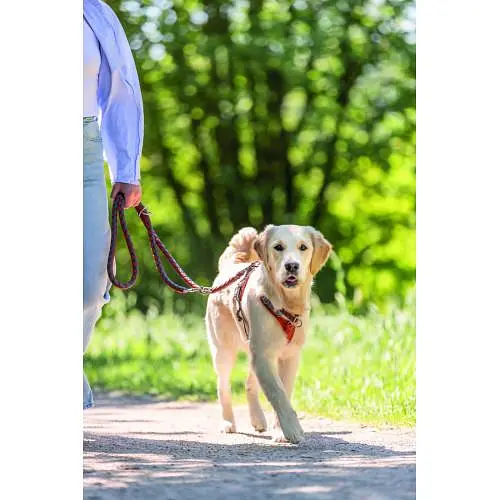 Нашийник для собак Trixie Cavo напівзашморг L-XL 52-60 см d 18 мм рудий/графітовий - фото 3