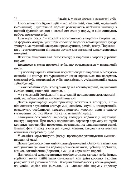 Основы клинической морфологии зубов - фото 5