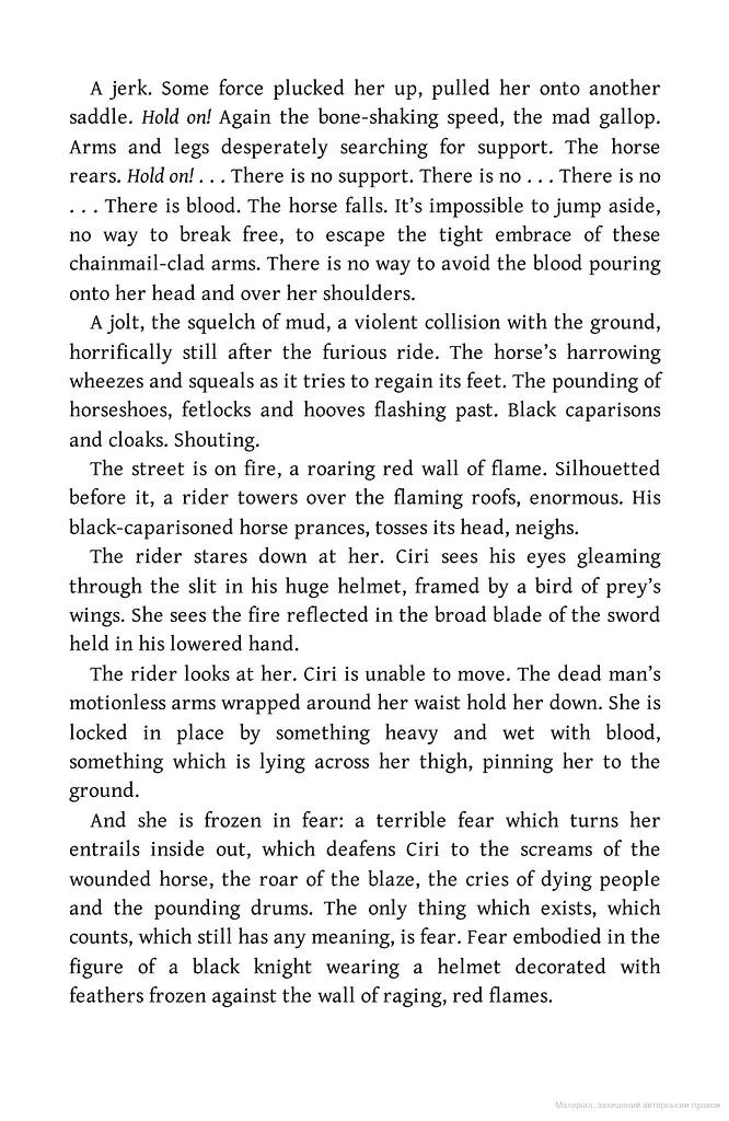 The Witcher. Blood of Elves - фото 4