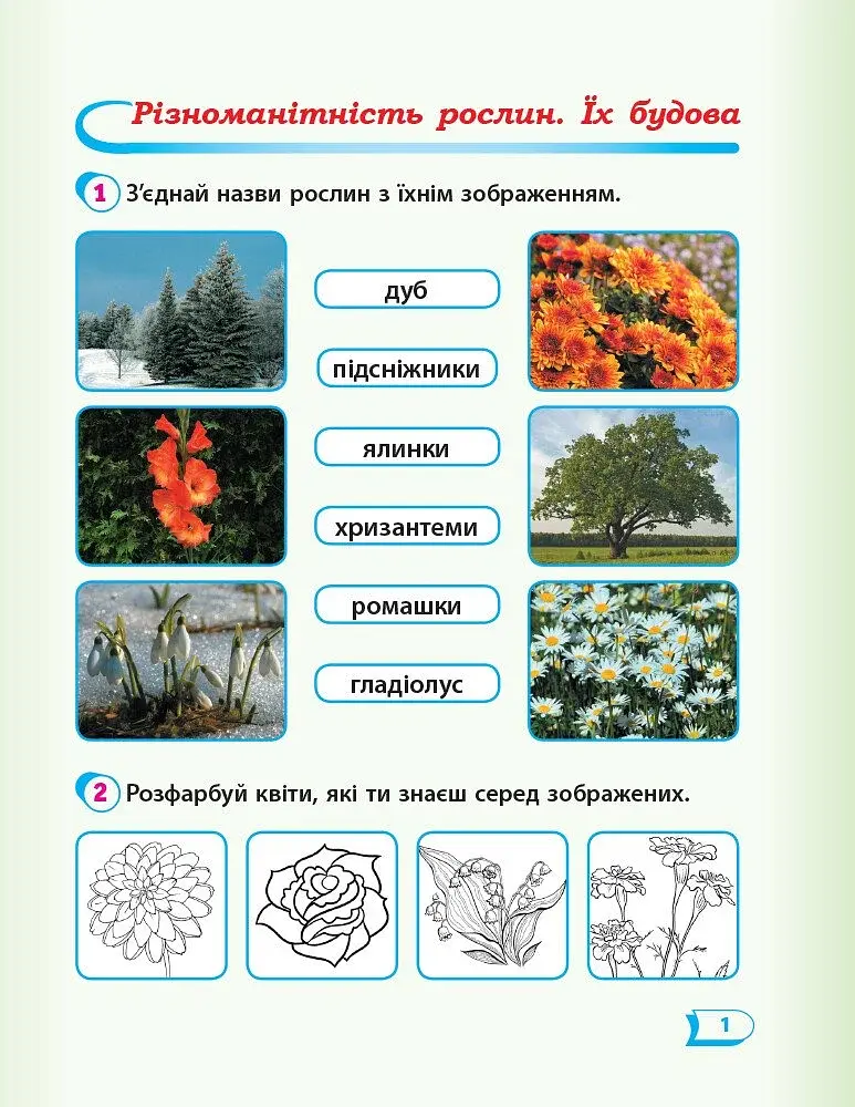 Я досліджую світ. 1 клас. Робочий зошит. Частина 2 - фото 2