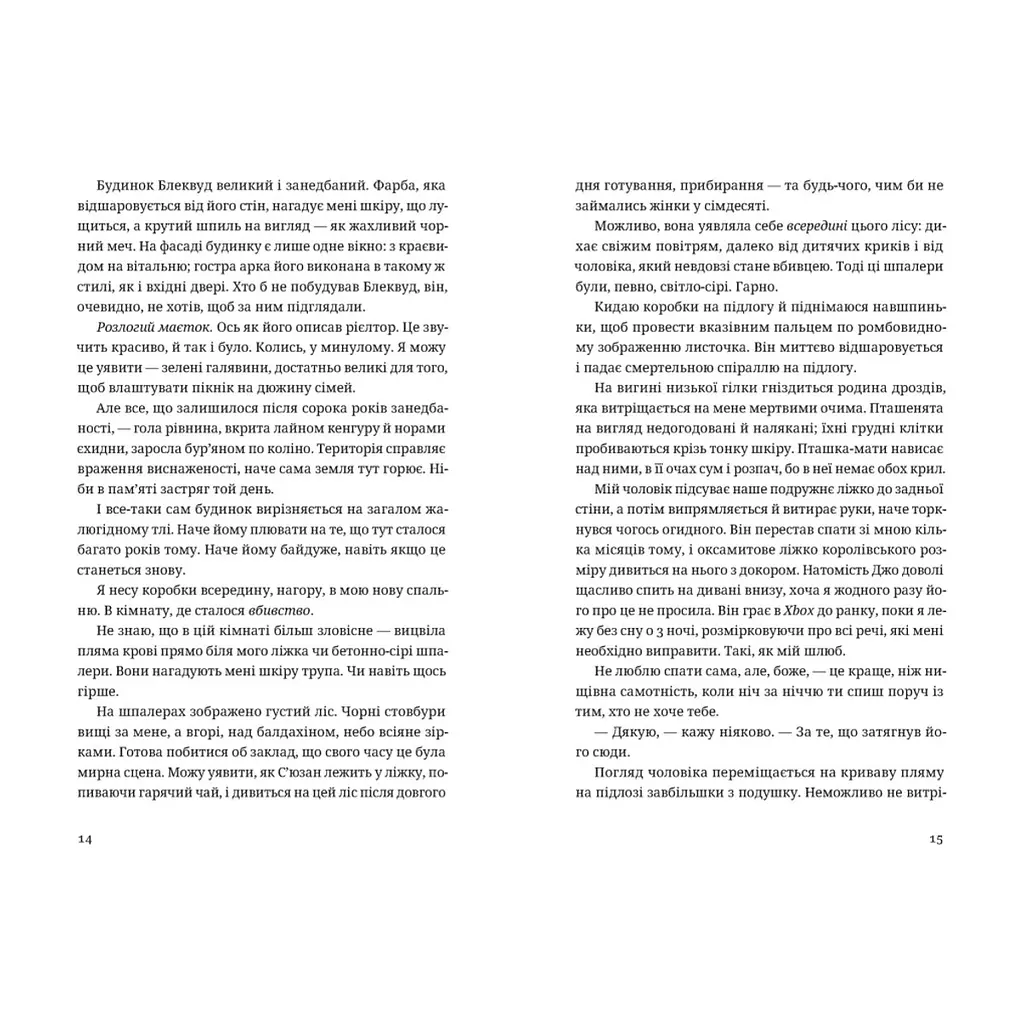 Книга Незнайомець нагорі - Ліза М. Матлін Видавництво Старого Лева (9789664484173) - фото 2
