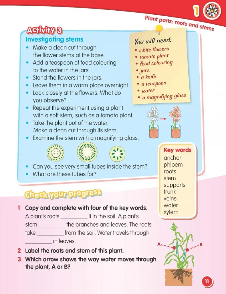 Macmillan Science. Level 3. Student's Book & eBook Pack - фото 5