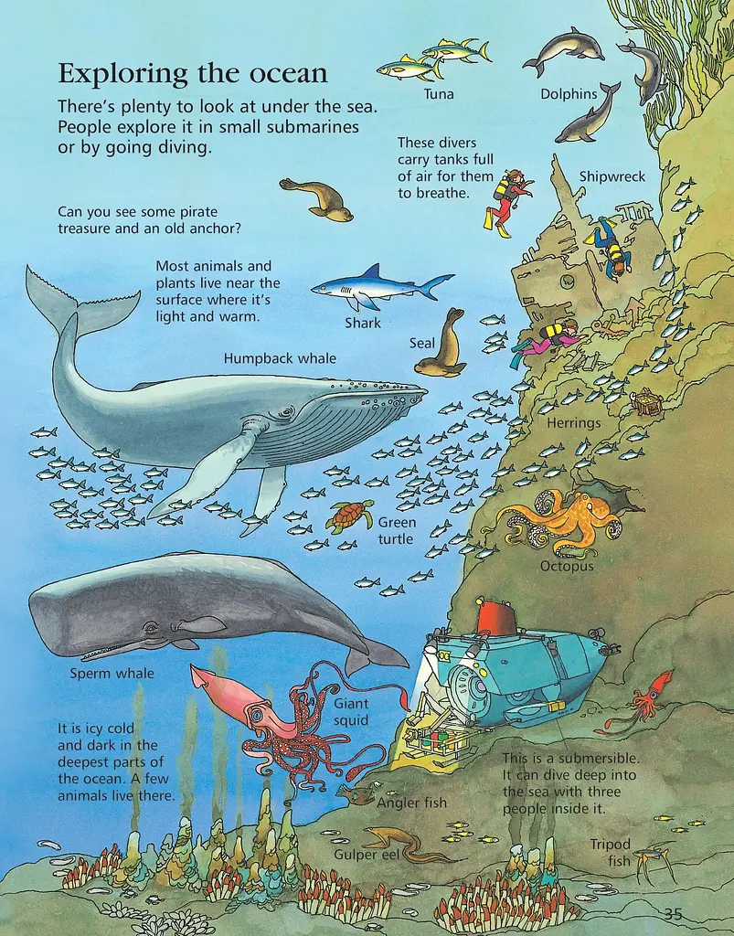 First Encyclopedia of Our World - фото 5