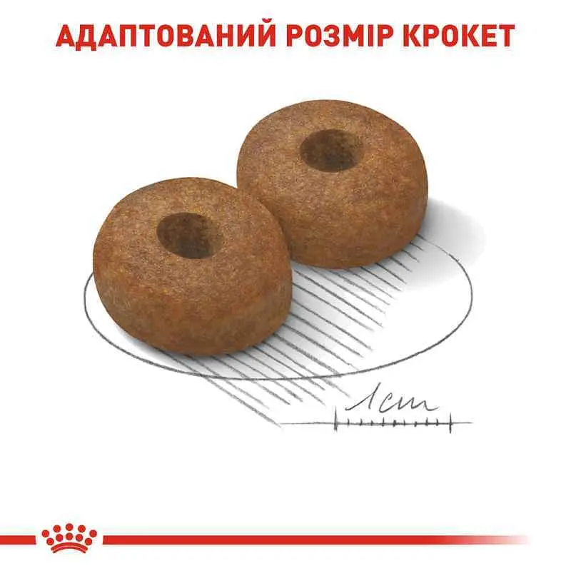 Сухой корм для стареющих собак крупных пород Royal Canin Maxi Ageing 8+, 15 кг (2454150) - фото 3