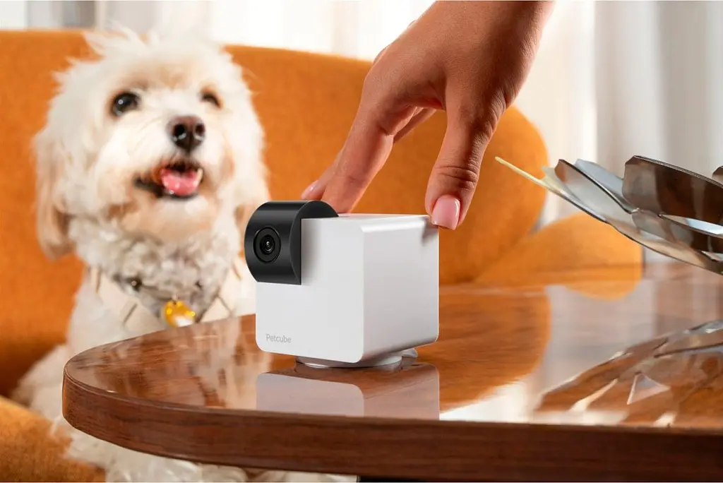 IP-камера для відеоспостереження Petcube Cam 360 (P36010US) [109823] - фото 6