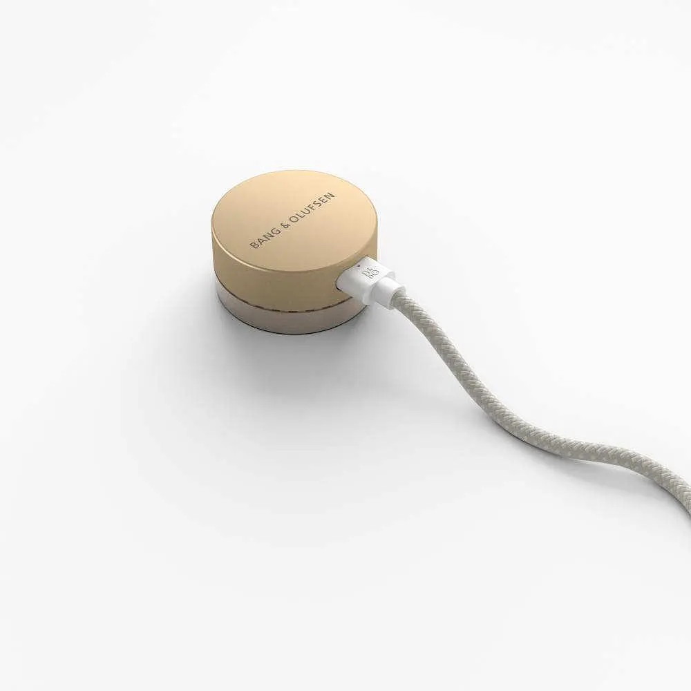 Акустическая система Bang & Olufsen Beosound Level Gold TOne Alu/Light Oak - фото 8