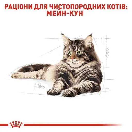 Сухой корм для взрослых кошек мейн-кун Royal Canin Maine Coon Adult, с птицей, 2 кг - фото 3
