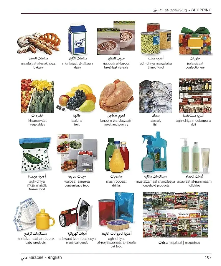 Arabic-English Visual Bilingual Dictionary with Free Audio APP - фото 6