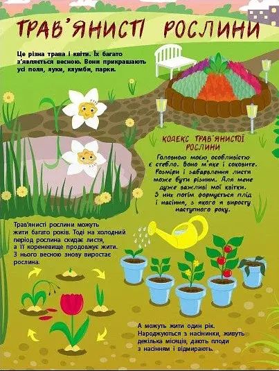 Таємне життя рослин - фото 6