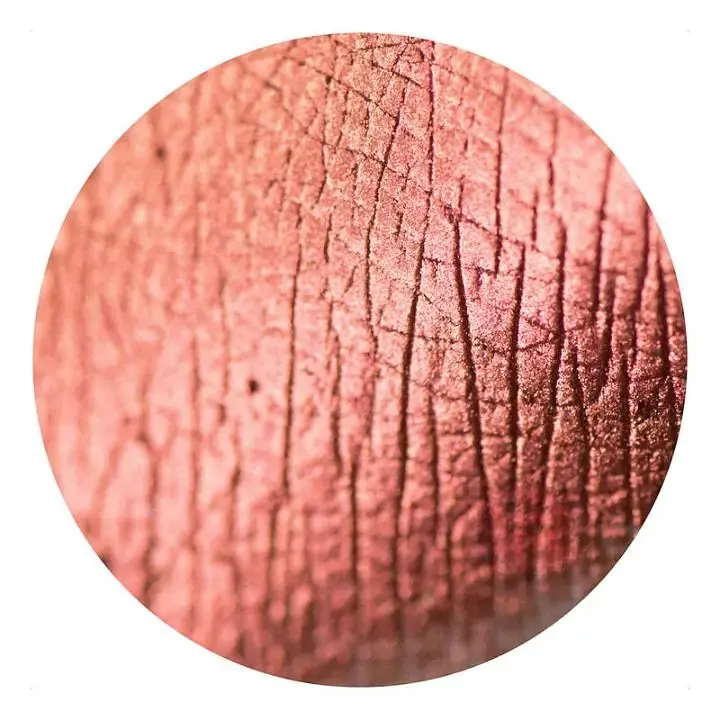 Рассыпчатые тени Sinart Make-Up With Passion тон 45 (Orange Red) 1 г - фото 2