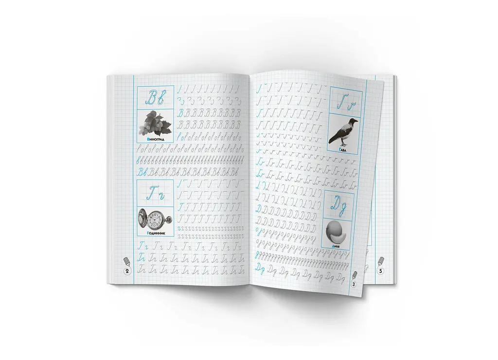 Книга Прописи-тренажер. Українська мова. Пишемо по клітинкам 2446 shop (9786175472446) - фото 2