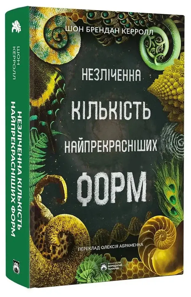 Незліченна кількість найпрекрасніших форм - фото 2