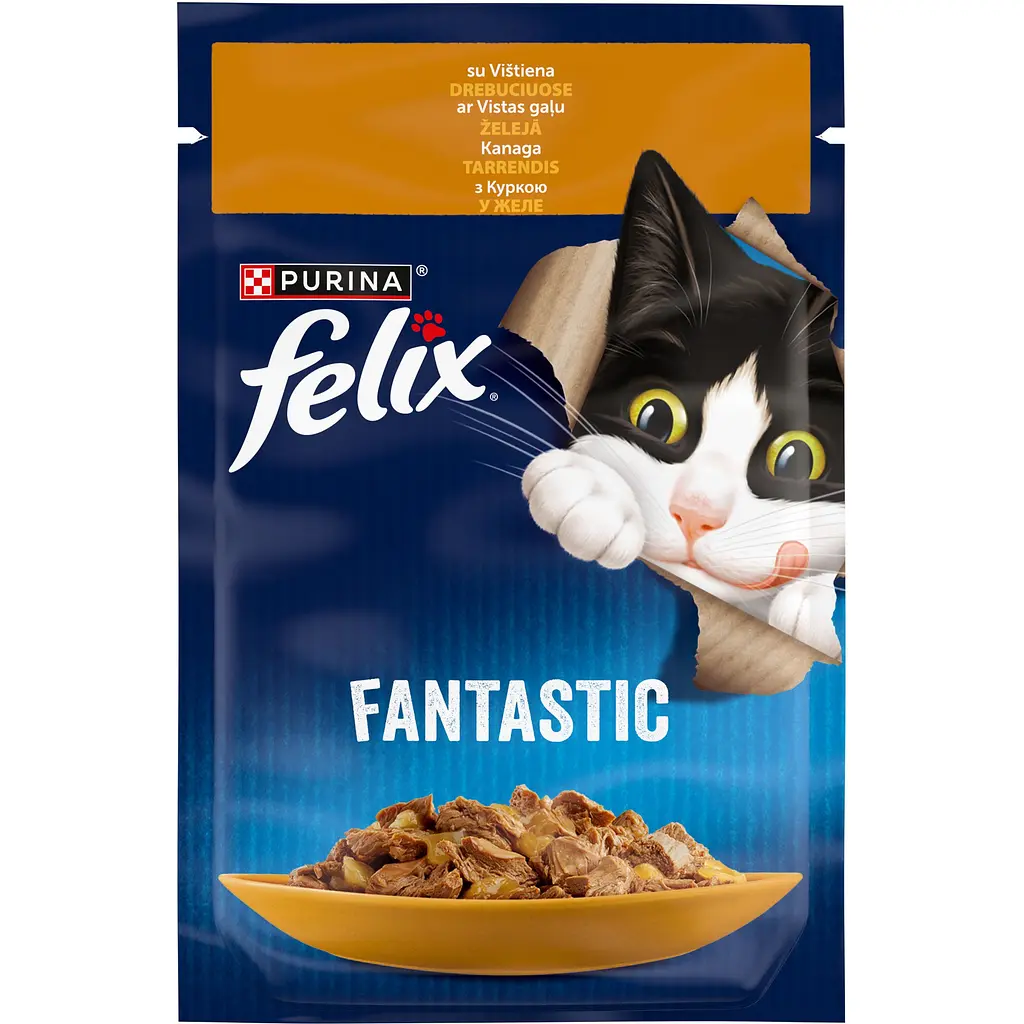 Вологий корм для котів Felix Fantastic, шматочки в желе, з куркою, 85 г