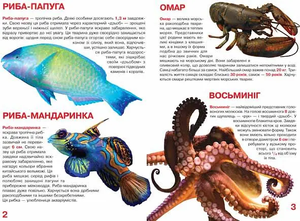 Велика книга Кристал Бук Мешканці морів та океанів (F00013014) - фото 2