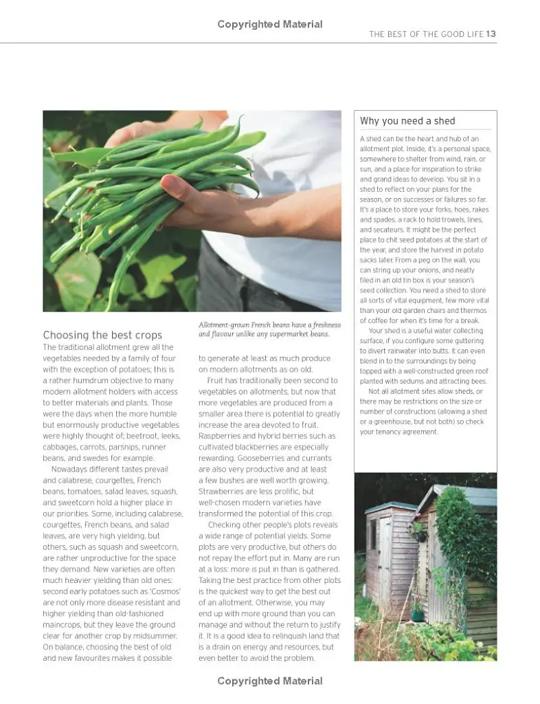 The Royal Horticultural Society Allotment Handbook. The Expert Guide for Every Fruit and Veg Grower - фото 9