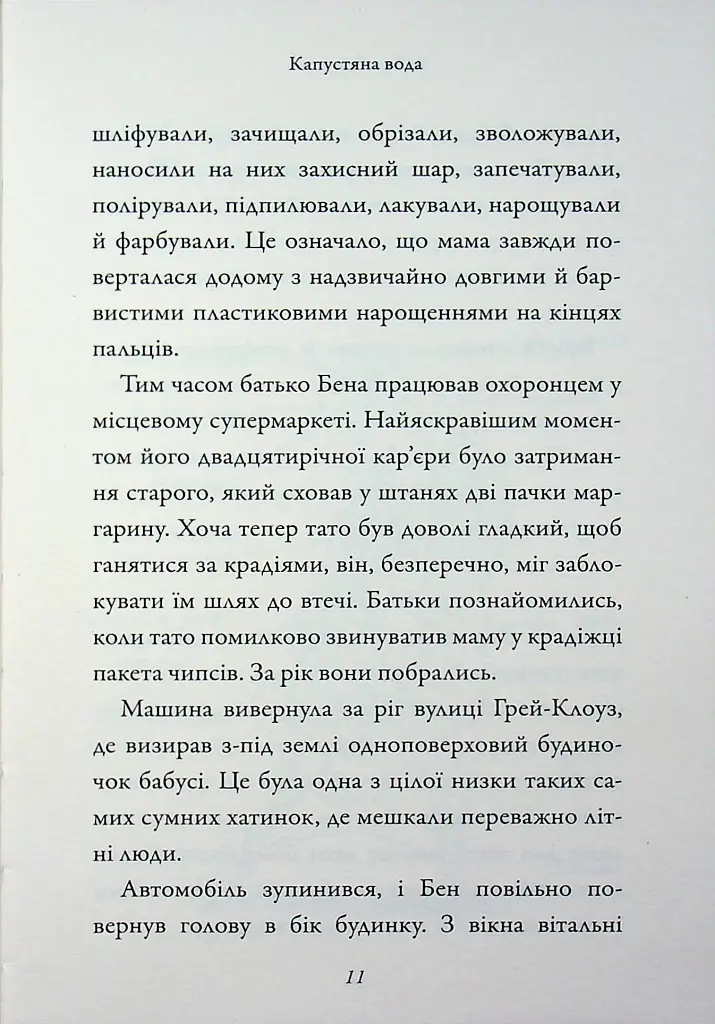 Бабця-бандитка - Девід Вольямс - фото 10