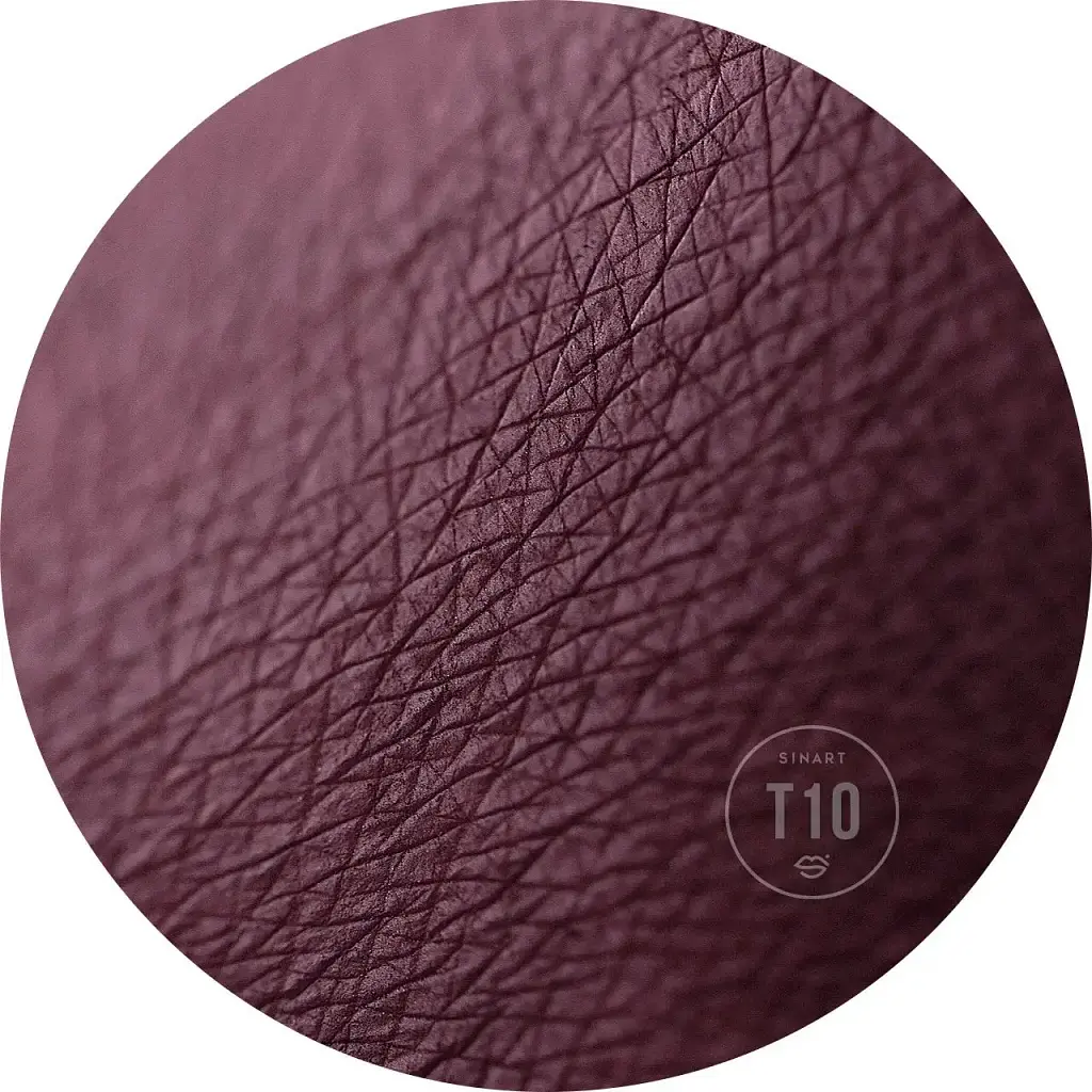 Прессованные тени для век Sinart Extra Dimension Velor Eyeshadow T10 1.5 г - фото 2