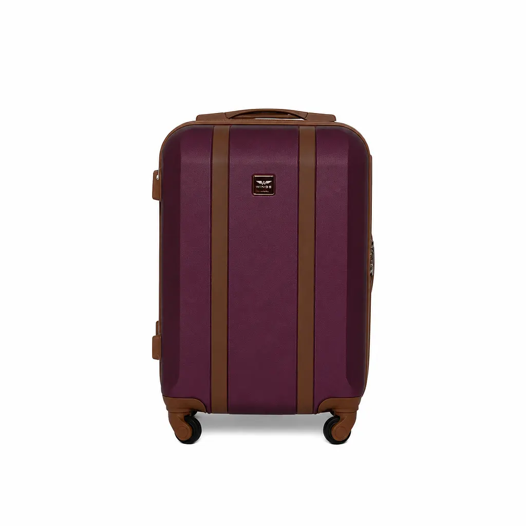 Валіза Wings GDW01 міні 28л бордова (GDW01-XS-Burgundy)