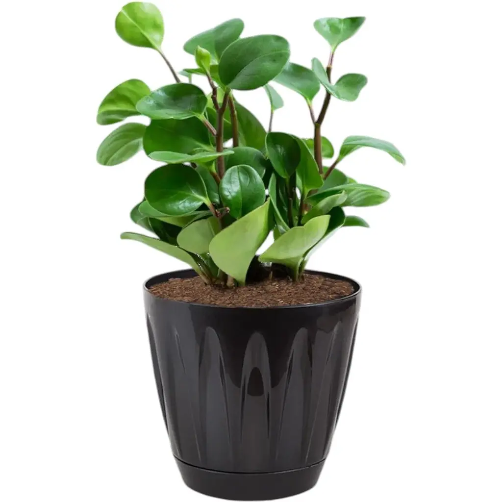 Вазон для квітів Serinova Daisy 6 л чорний (20-P00401202-200100) - фото 2