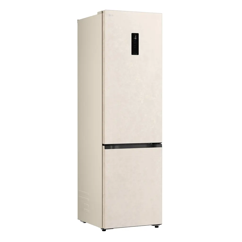 Холодильник LG GC-B509EELM