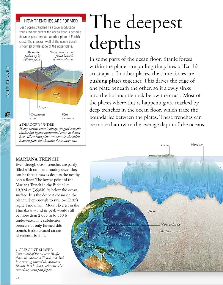 Ocean. A Children's Encyclopedia - фото 4