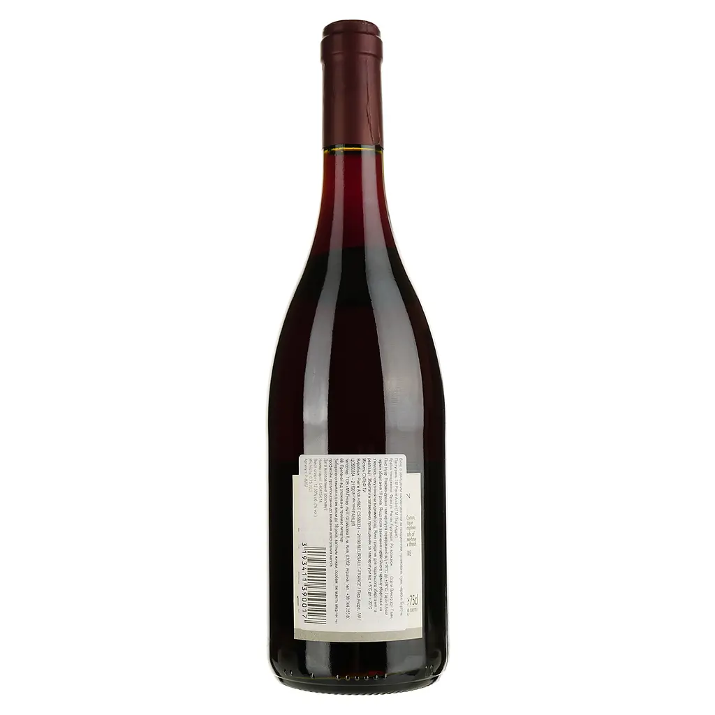 Вино Pierre Andre Bourgogne Passe-Tout-Grains AOP 2022 червоне сухе 0.75 л - фото 2