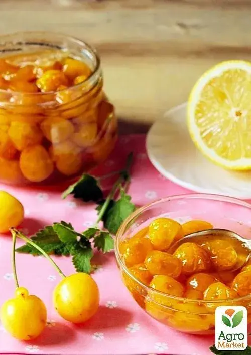 Саджанець Agro-Market Черешня глянцевого жовтого кольору Медова насолода (Honey sweetness) (преміальний, стійкий до захворювань сорт) 1 шт. в упаковці (47681) - фото 3