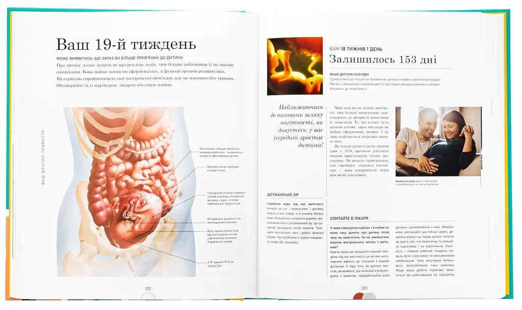 Вагітність день за днем - Меггі Блотт - фото 4