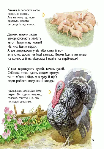Енциклопедія дошкільника Ранок Тварини - Юлія Каспарова (С614005У) - фото 6