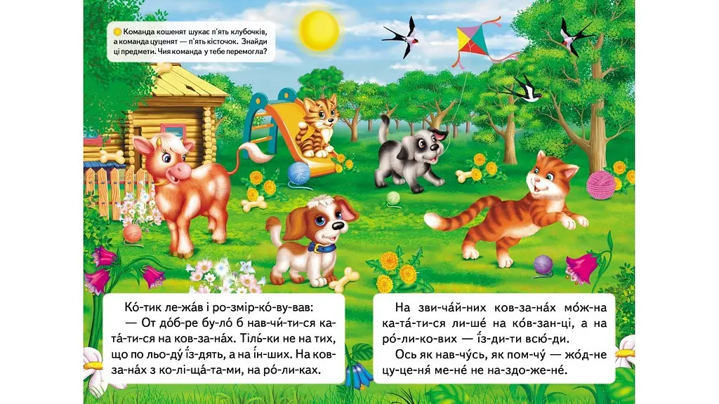 Про кошеня, що навчилося на роликах кататися. ЧПС 16 стор. 165х240 мм. м`яка обкл. - фото 3