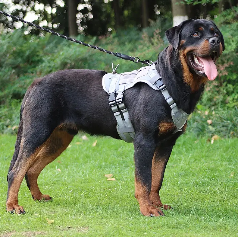 Шлейка для собак Vest, тактичний жилет з ручкою і системою MOLLE, регульований, Сірий М - фото 7