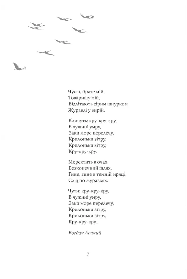 Журавлі відлетілі. Есеї про Квітку Цісик та її рід - фото 4