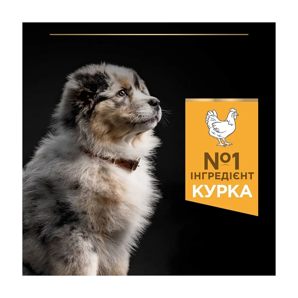 Сухий корм для собак Purina Pro Plan Dog Medium Puppy з високим вмістом курки 12 кг (7613035120402) - фото 7