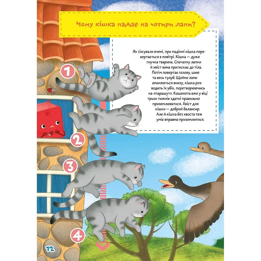 Вчимося на відмінно. Школа чомучки. Займатика (9789669890894) - фото 3