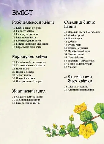 Стежками природи. Дикі квіти - Сара Кан - фото 3