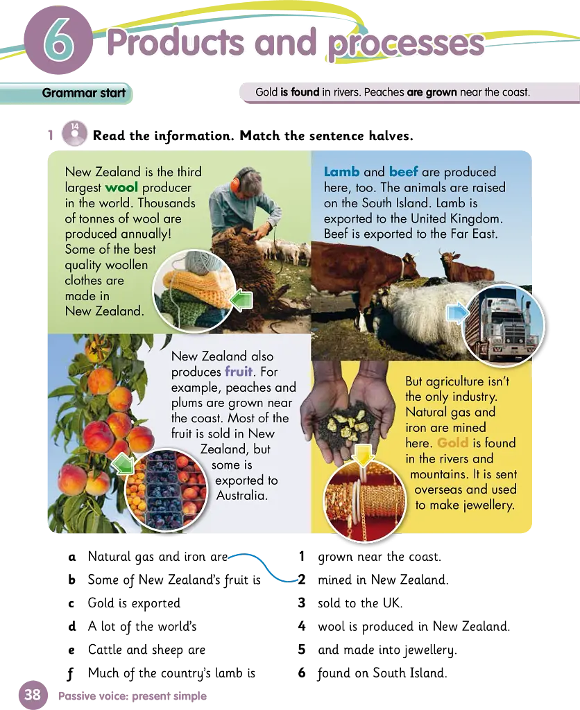 Grammar Goals. Level 5. Pupil's Book Pack - фото 3