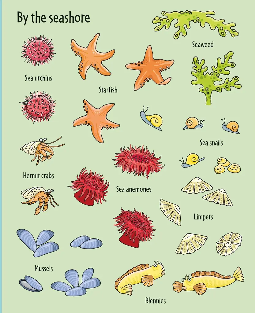 First Sticker Book: Under the Sea - фото 7