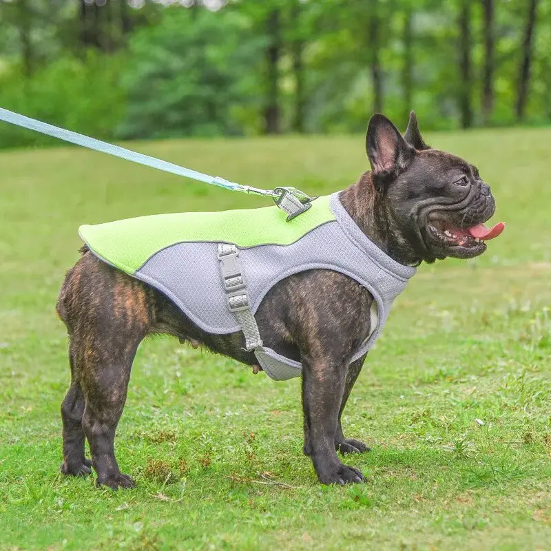 Літній охолоджувальний жилет для собак Green - фото 2
