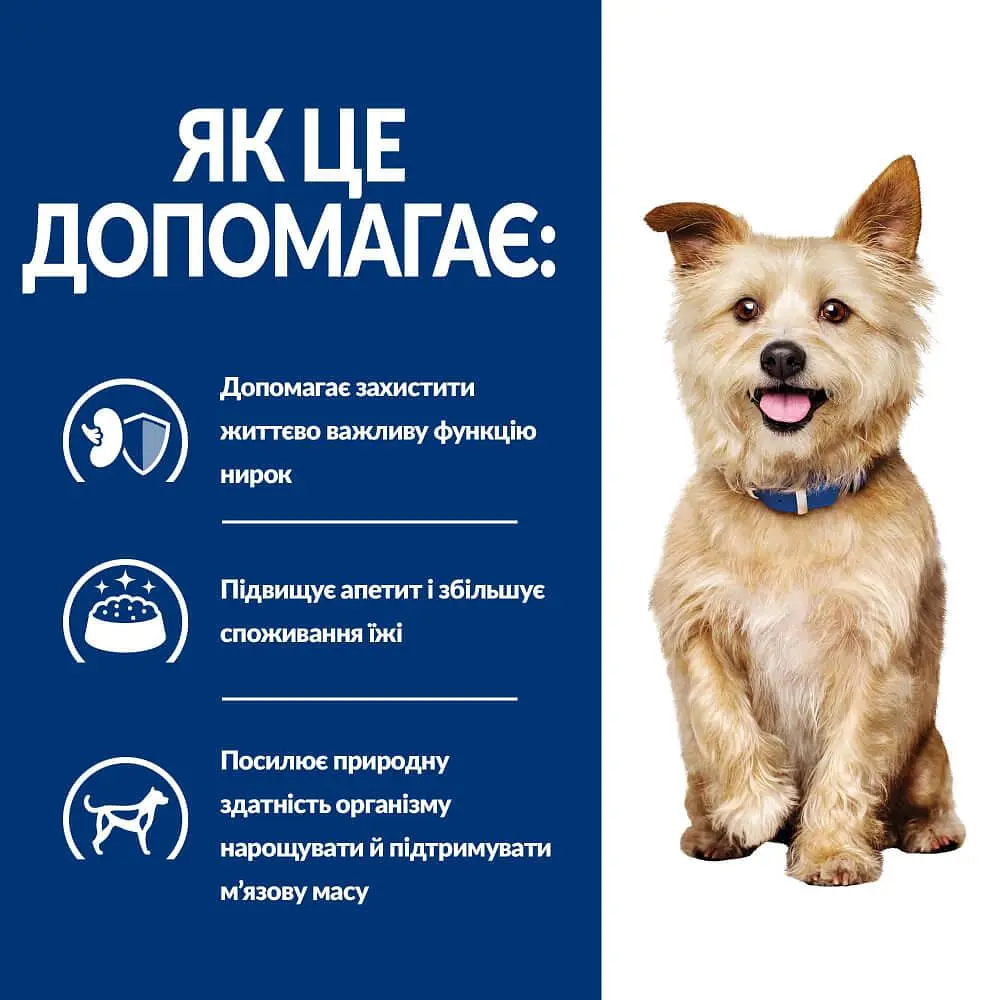 Сухой корм Hill's Prescription Diet k/d для собак для поддержания функции почек с курицей 1.5 кг - фото 5