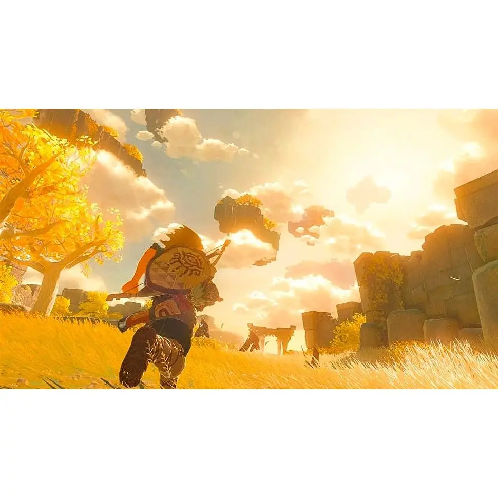 Гра The Legend of Zelda: Tears of the Kingdom для Nintendo Switch (RU) [84872] - фото 6