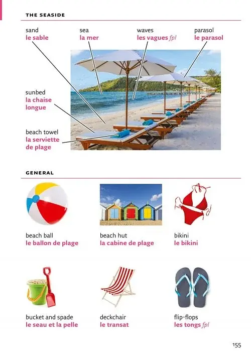 Collins French Visual Dictionary - фото 5