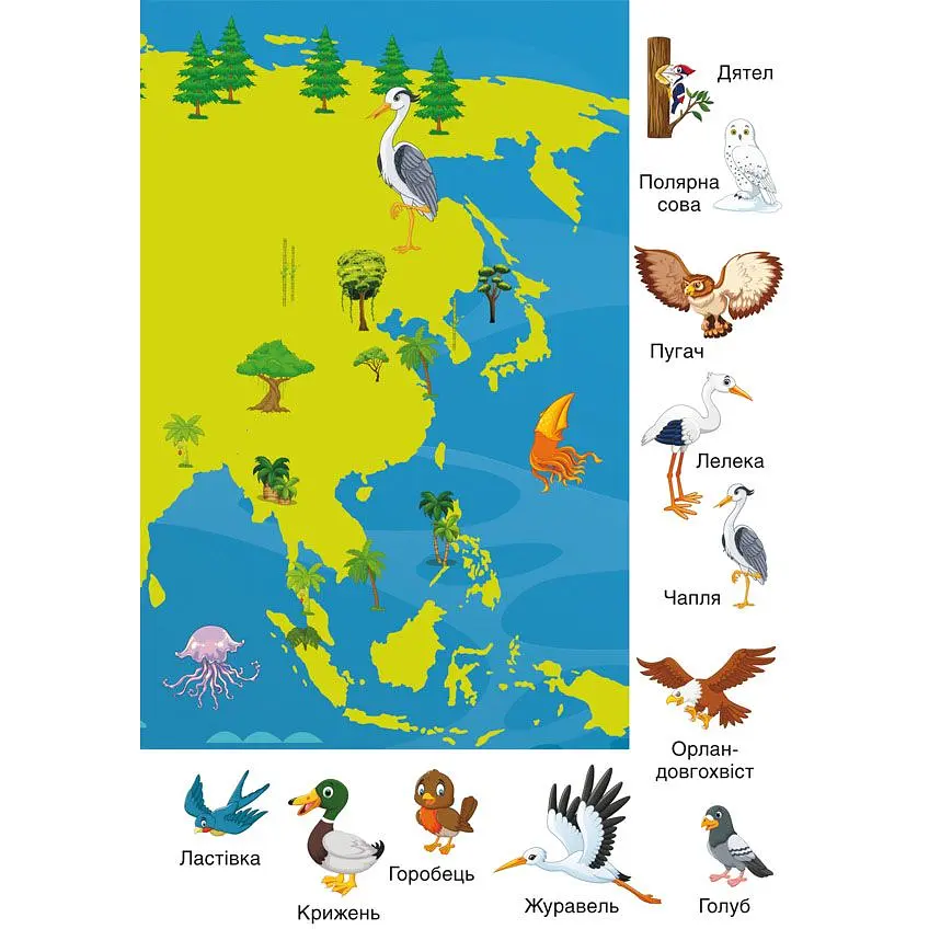 Набір наліпок Кристал Бук Перші розвивальні наліпки Птахи, 35 шт. - фото 7