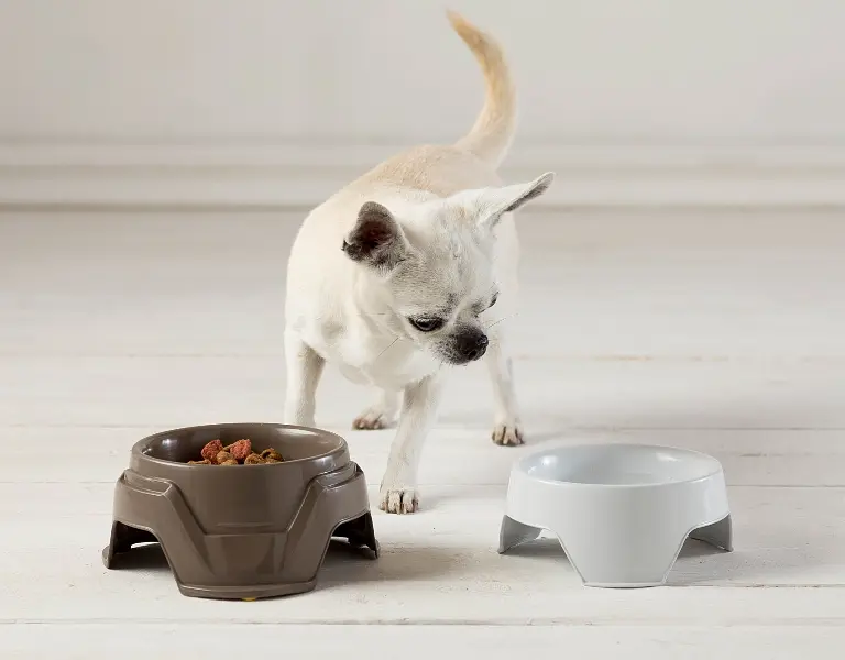 Миска для корма с регулируемой высотой Mimi 19x19x10/13h, коричневый - фото 6