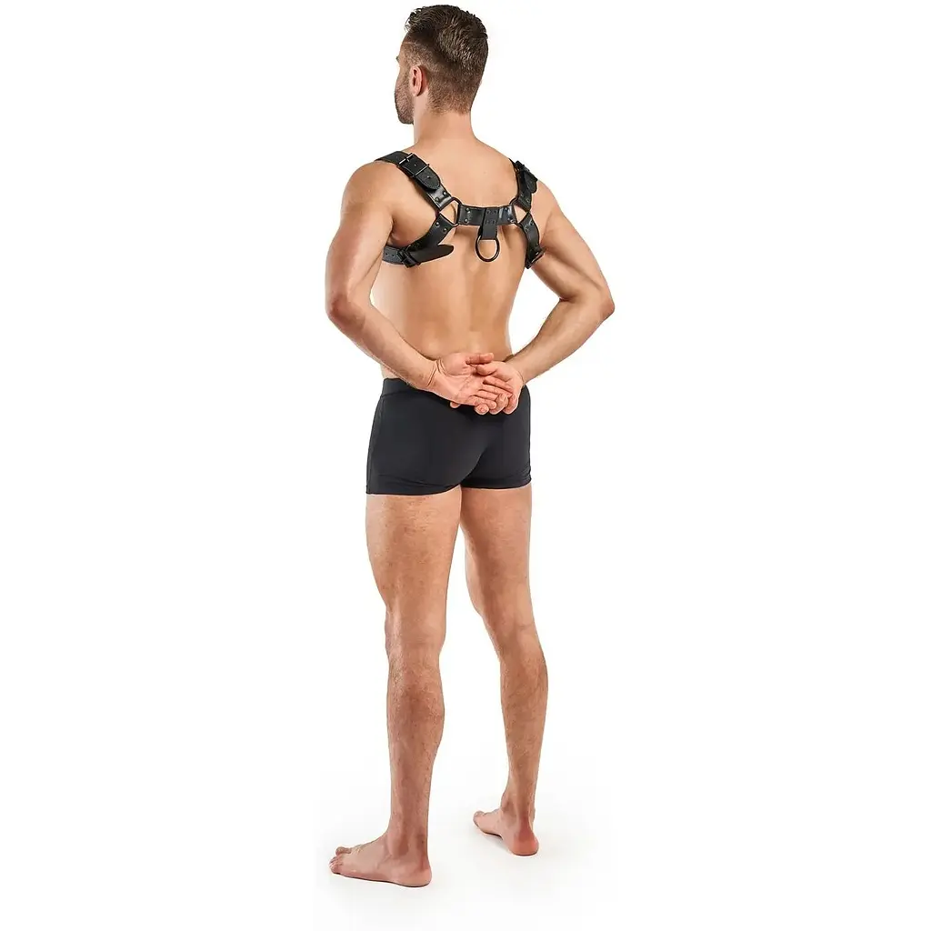Портупея Bedroom Fantasies Bruno Chest Bulldog Harness - Black - фото 5