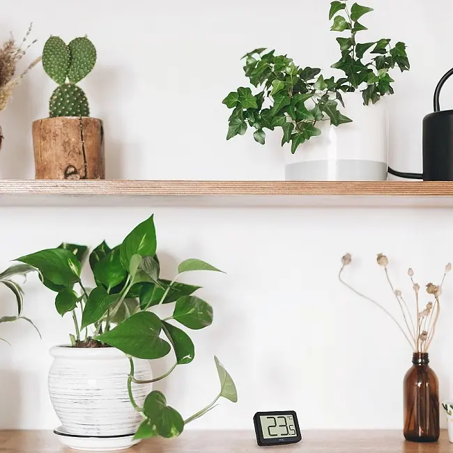 Термометр цифровий TFA 30106501 - фото 6