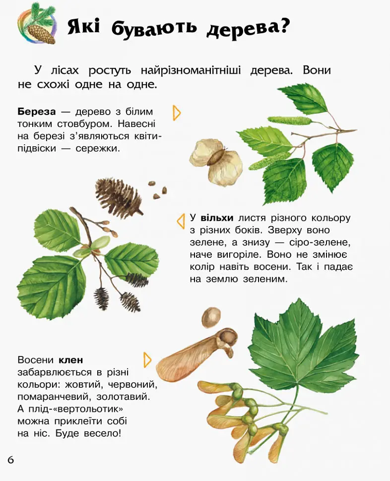 Дитяча енциклопедія про ліс 614016 для дошкільнят - фото 3