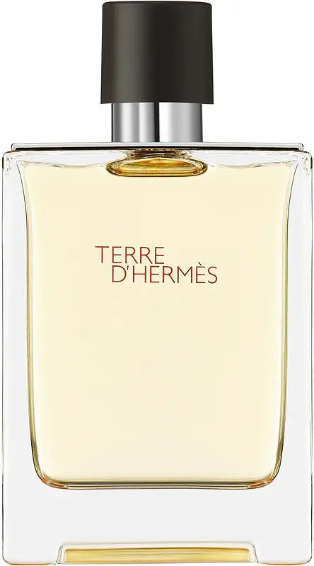 Оригінал Hermes Terre d'Hermes 100 мл Туалетна вода - фото 3