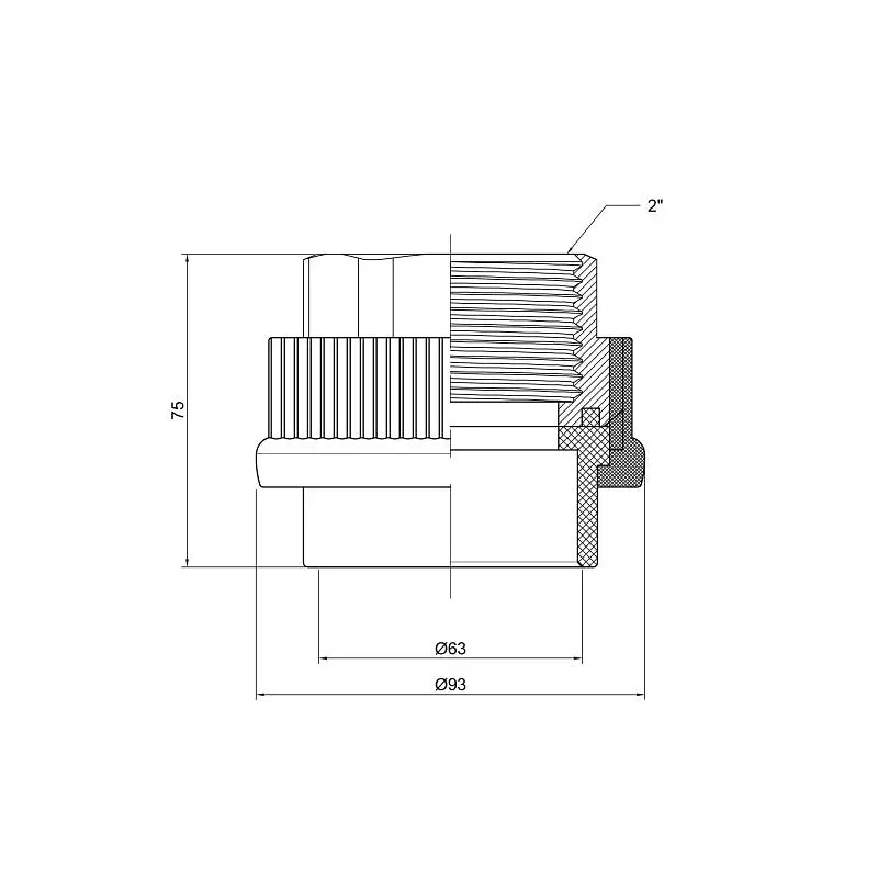 Муфта PPR Thermo Alliance 63х2" ВР DSB210