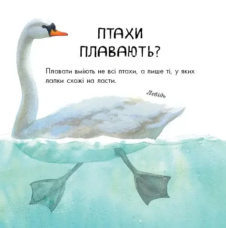 В гостях у природи. Птахи різні та дивовижні - фото 4